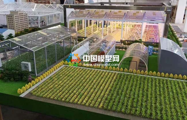  農業(yè)大棚模型，畜牧養(yǎng)殖沙盤模型